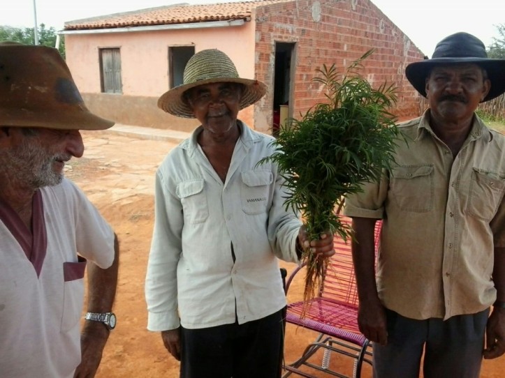 AGRICULTORES