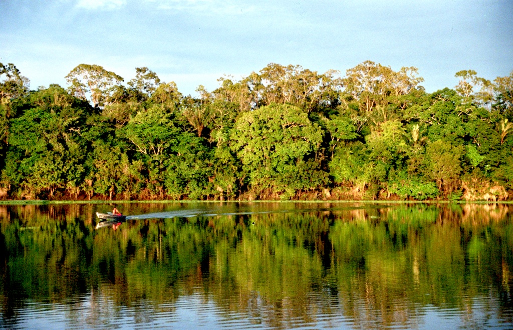 floresta-Amazônica